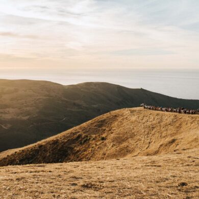 AFTER TWO DECADES OF STAGING AL FRESCO DINING ADVENTURES, OUTSTANDING IN THE FIELD FOUNDER JIM DENEVAN HAS NO PLANS TO COME INSIDE.