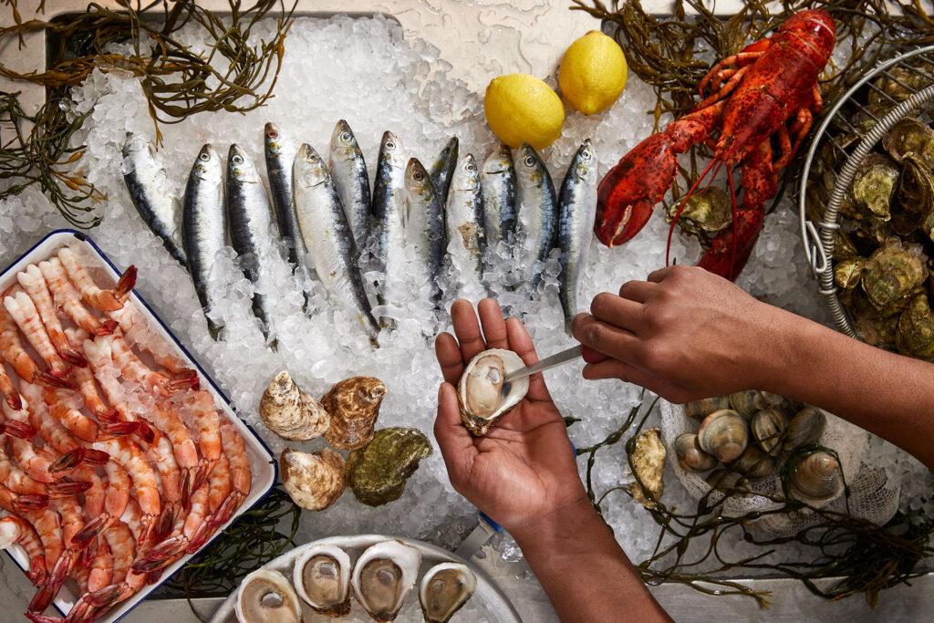 Flaylay photograph of seafood on ice while a pair of hand shuck an oyster over it.