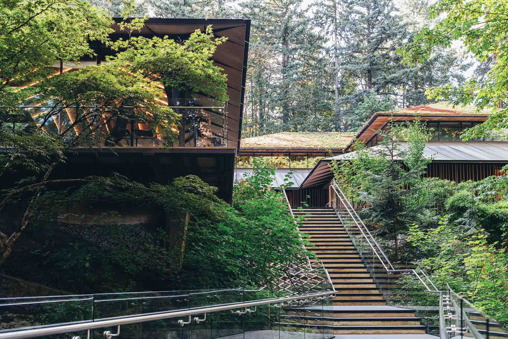 a building with a glass railing and stairs in the woods