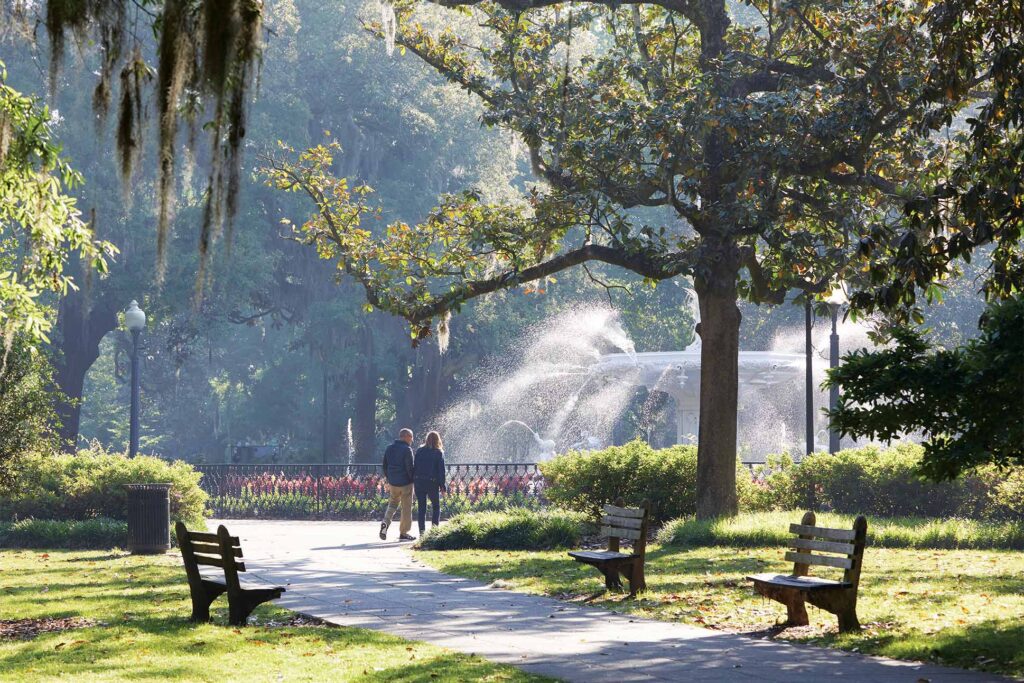 savannah, georgia lush green